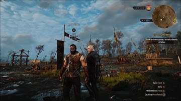 The Witcher 3 - Audio Glitch