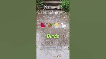 Kids Classification Quiz 1.0