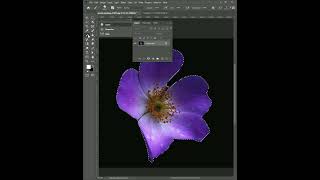 Create A Flower Brush Photoshop #shorts #photoshop