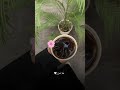 بودكاست رجعت نزلتو عشان حبيطو