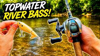 Bass Were NAILING This TOPWATER Lure!!