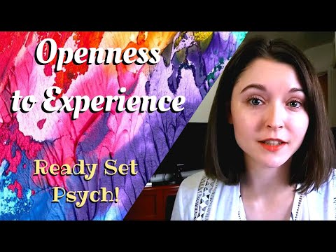 OPENESS TO EXPERIENCE | The Big Five Personality Traits in Psychology