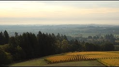 The Story of Oregon Pinot