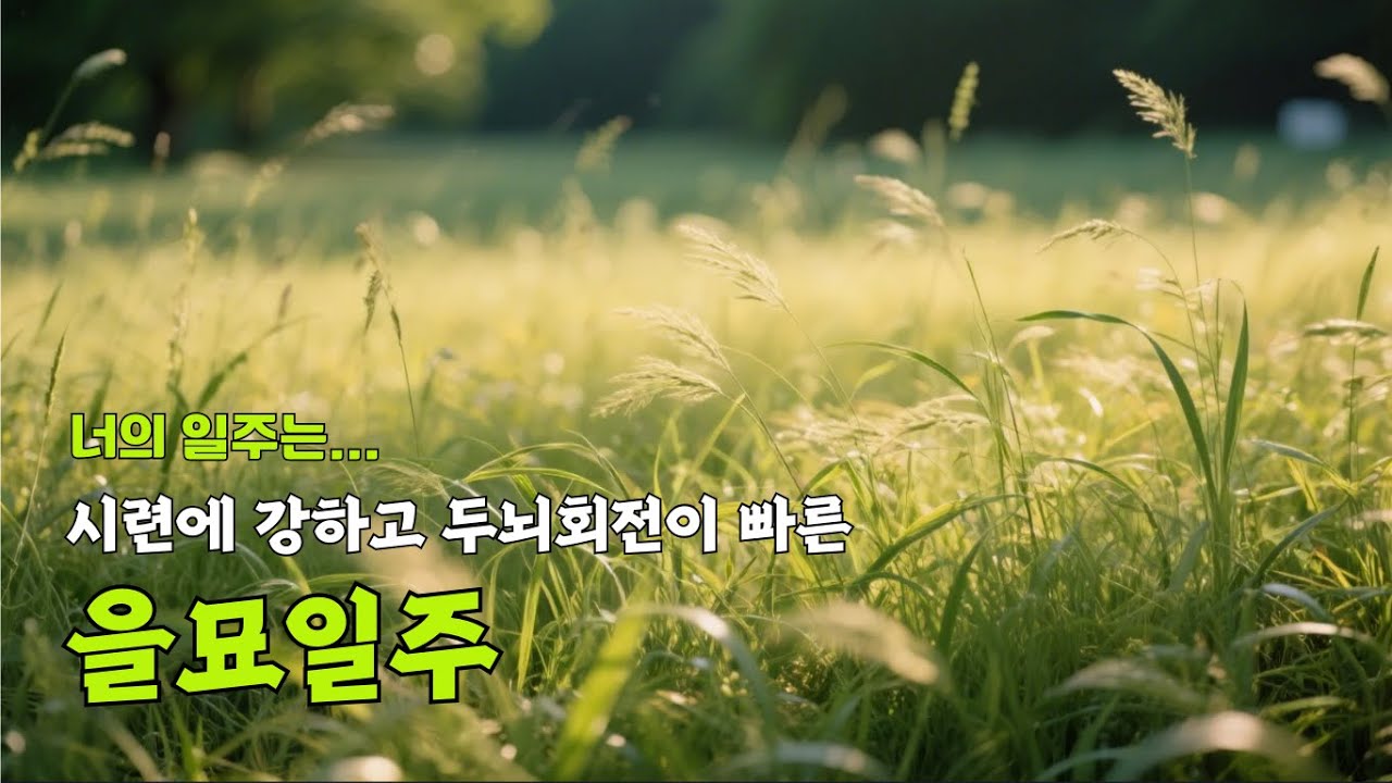 [너의 일주는] 시련에 강하고 두뇌회전이 빠른, 을묘일주