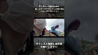【夢開拓者】ディズニー不足のための朝一のマークトウェイン乗り場とクリッターカントリー #shorts #ディズニー #disney #東京ディズニーランド #disneyland #ディズニーランド