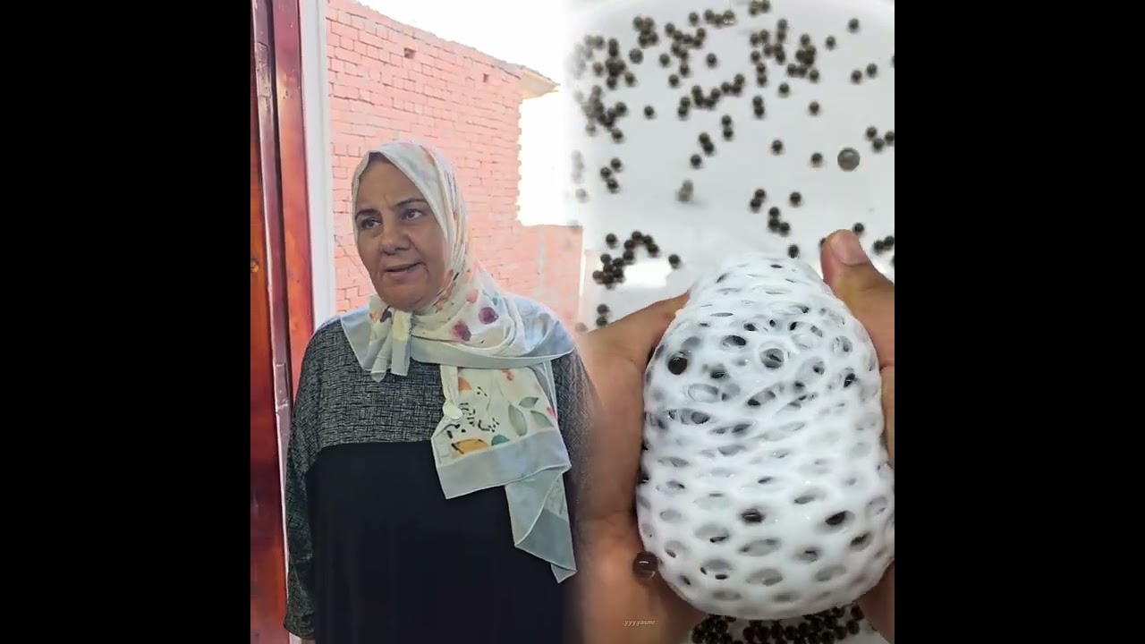 رجعت لاولادها و جوزها بعد غياب سنين يا تري استقبلوها ازاي ؟