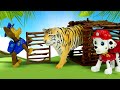 Paw Patrol devolve os animais ao zoológico! História infantil com super heróis  em português