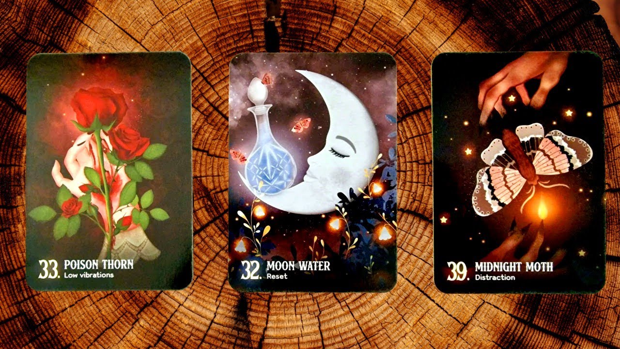 🤔💋 THEIR THOUGHTS AND FEELINGS THE LAST TIME THEY SAW YOU❓❗😍🐍 PICK A CARD 🔮