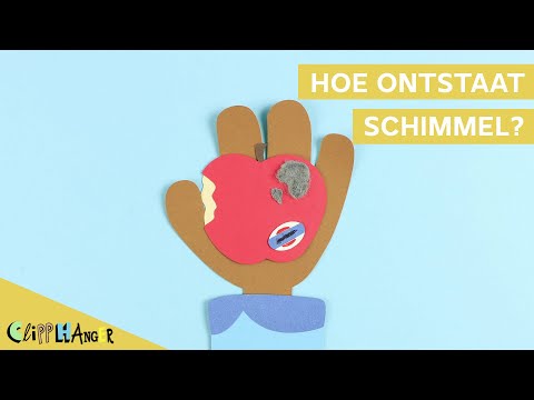 Video: Hoe Om Te Gaan Met Schimmel In Het Land?