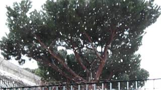 Neve a Roma - 03/02/12