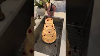 Kue Itu Tdanak Normal Tapi Ada Yang Aneh   guelphcakes 