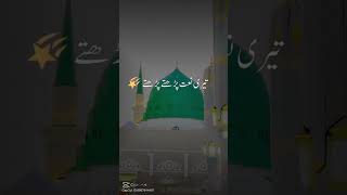 #MadinaMunawarah#MasjidNabawi#IslamicVideo#BlesedCity#Hajj#trending#Muhammadﷺ#Ziyarat#IslamicContent