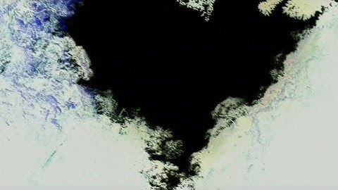 CHEERY REPOSE (OFFICIAL MUSIC VIDEO)