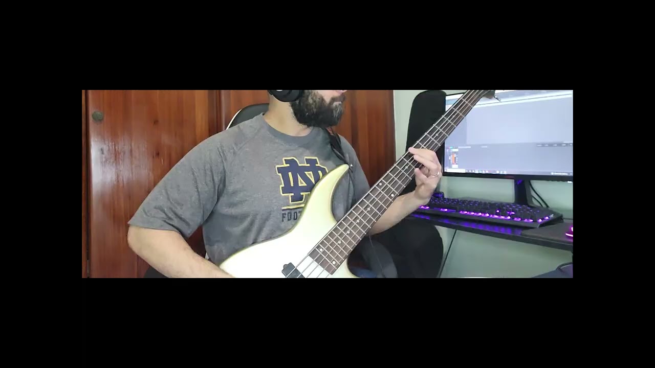 As I Lay Dying - Through Struggle (bass cover)