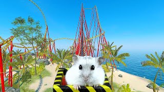 Hamster in Roller Coaster Maelstrom on the Shore Ocean