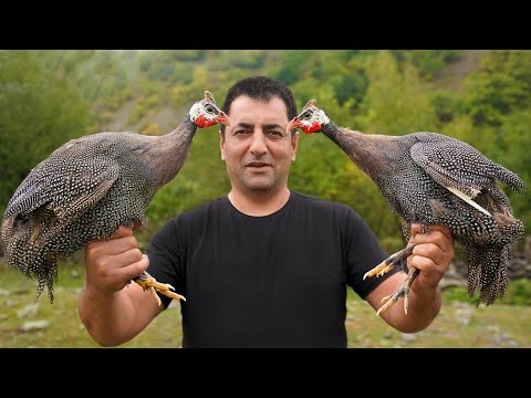 GUINEA FOWL COOKING IN OVEN | TANDOORI BAKED RECIPE | ROASTED TEETARI BY WILDERNESS COOKING