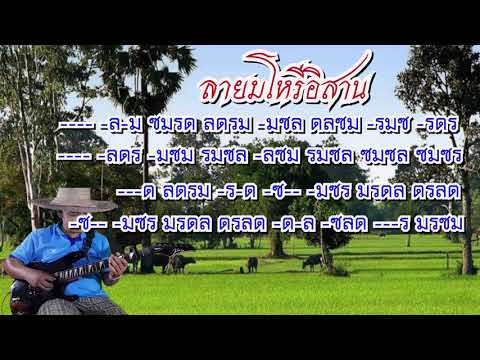 ลายมโหรีอิสาน บรรเลงพิณใบตองกุง