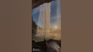 سورة السجدة 🤍