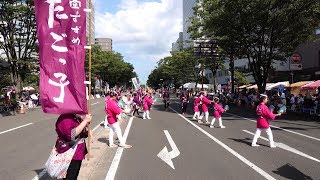 #たごっ子 @ 仙台すずめ踊り (大流し②) 2019-07-28T14:36
