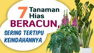 7 Tanaman Hias Beracun, Sering Tertipu Keindahannya