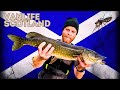 A day in the life | Van life Scotland | Van life Vlog 6 Scottish Highlands