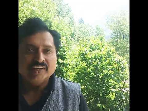 Private 6 day Shimla Manali tour by car