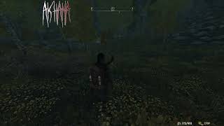 Skyrim Vampire Mist/Bats Dodge - 'Stylish Dodge Chaos Animation' Skyrim Vampire Mist/Bats Dodge - 'Stylish Dodge Chaos Animation'