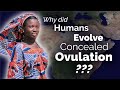 Carta unraveling the origins of concealed ovulation in humans