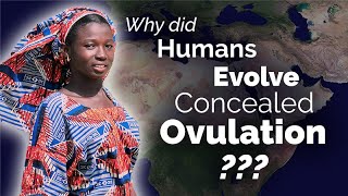 CARTA: Unraveling the Origins of Concealed Ovulation in Humans