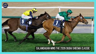 CALANDAGAN wins the 2026 Dubai Sheema Classic G1