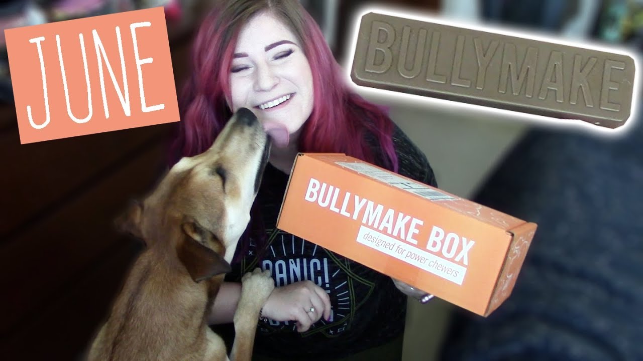 bullymake power chewer