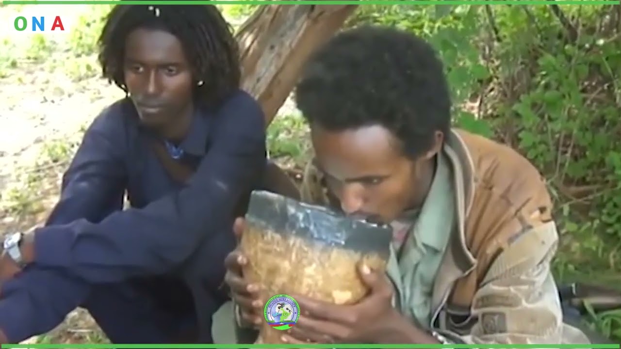 Daawo: Taxanaha Sheeko-halgameedda: Ha Dareemin Geerida, Qaybta Lixaad.