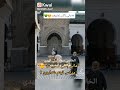 امداح امازيغية