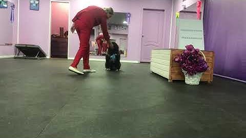 Male #2 (2.5 month) video 2