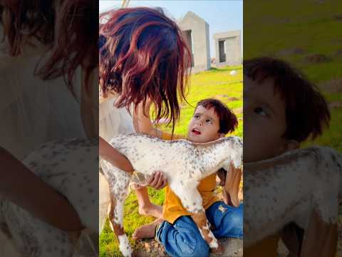 Mujhe Q Zaleel Kar Rahi Ho 😱 #sad #viral #trending #shorts