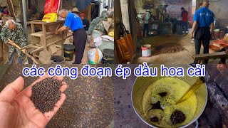 [564]Nông Thôn Hồ Bắc_Trung Quốc Đã Vào Vụ Ép Dầu Hoa Cải.