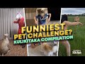 Funniest Pet Challenge Ever? Try Not To Laugh! Which one's your favorite?