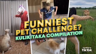 Funniest Pet Challenge Ever? Try Not To Laugh! Which one&#39;s your favorite?