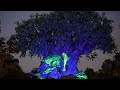 &#39;Avatar: The Way of Water&#39; projection show at Disney&#39;s Animal Kingdom