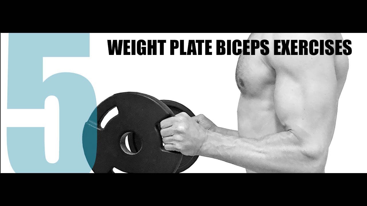 30 Minute Arm Workout With Plates for Weight Loss