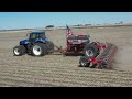 Horsch  maestro sxl planting on strip till