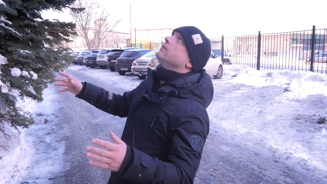 Чак и шуманский фото