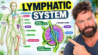 Puffy, Swollen, Tired? Your Lymph Is Stuck (Fix in 5 Min)