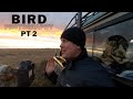 BIRD | WILDLIFE PHOTOGRAPHY | PHOTOGRAPHING BIRDS OF PREY PT 2 | Hen Harriers & Falcons Hints & Tips