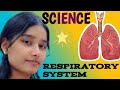 Human Respiratory System