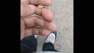 $avage REDDY - Two Bricks
