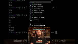 Pipelines in Bash: Filtering Large Data