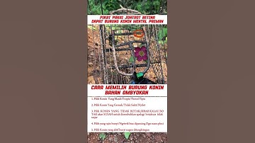 pancingan suara burung Kolibri ninja #kicaumania #mangkicauoffecial #kicauburunglovebird #burung