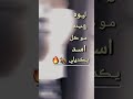 لبوه عنيده مو كل اسد يكدرلي   