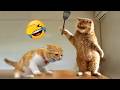 Funny Animal Videos 2026 😅 - Funniest Dogs and Cats Videos 😁 Part 2